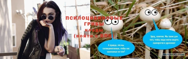 прущая мука Бронницы